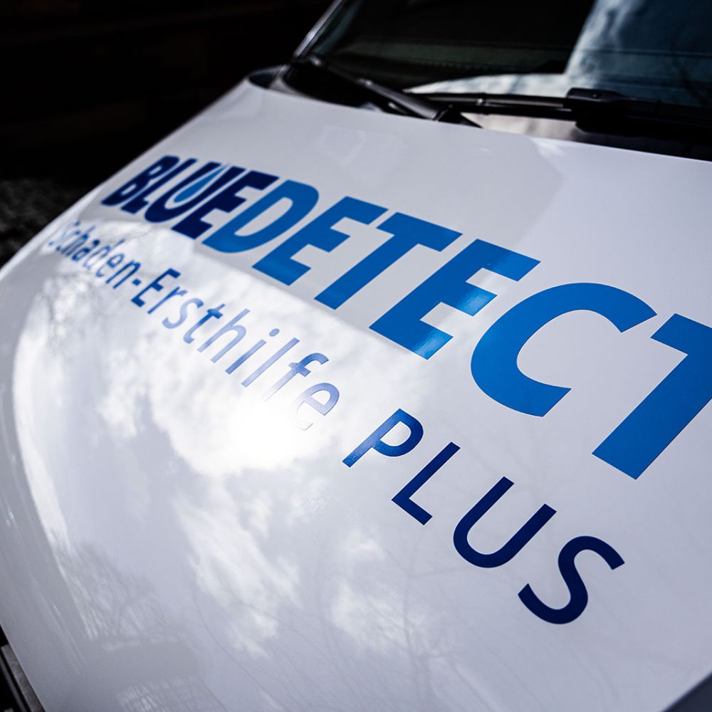 Franchisepartner bei Blue Detect werden | Österreich und Deutschland | Osnabrück